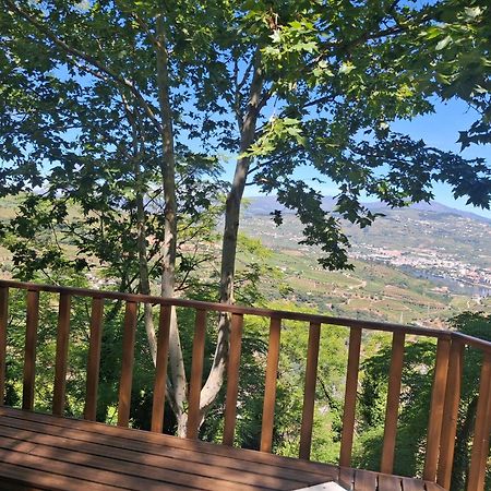 Quinta Do Valdalagea Guest House Peso da Regua Bagian luar foto