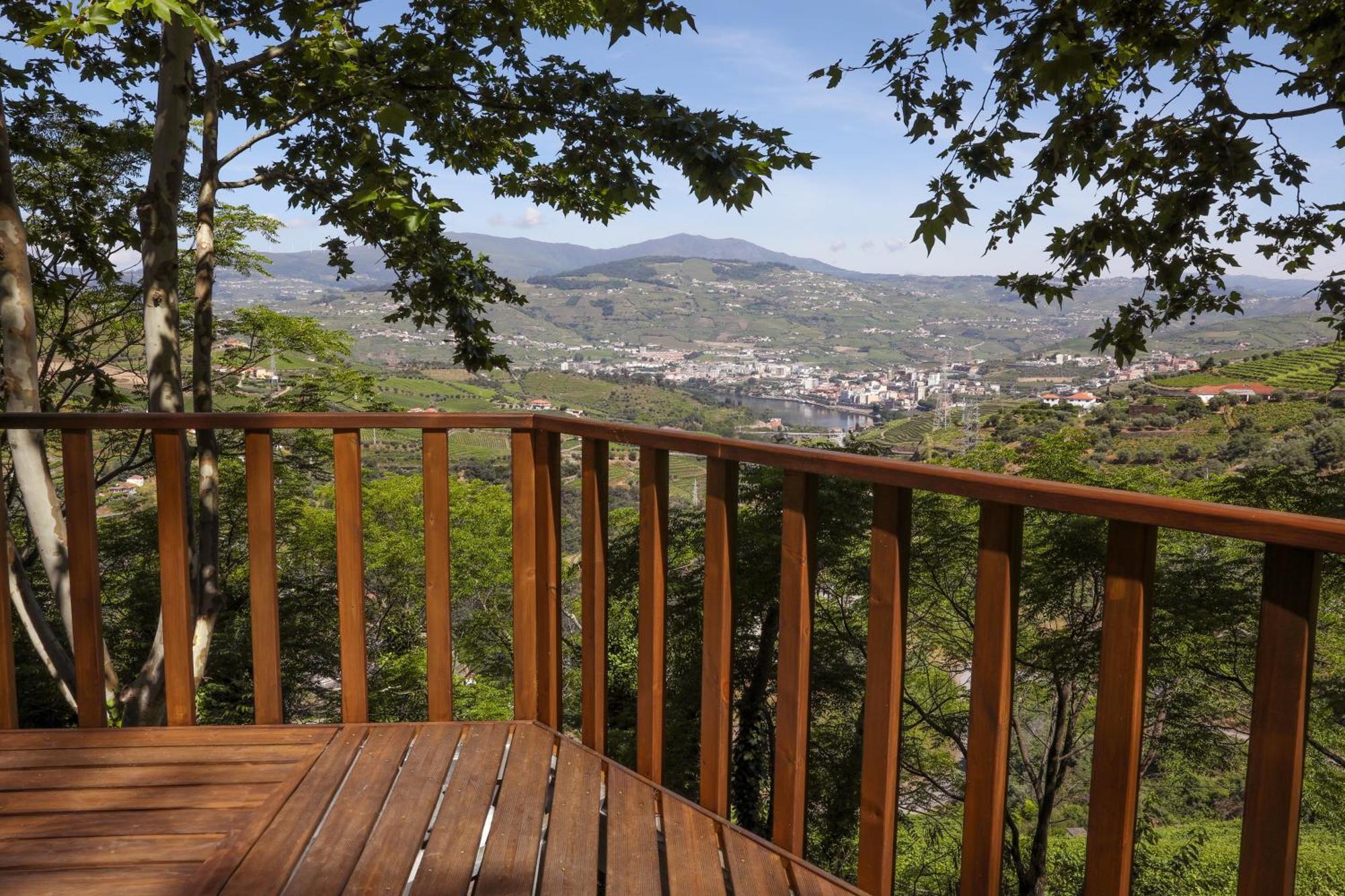 Quinta Do Valdalagea Guest House Peso da Regua Bagian luar foto