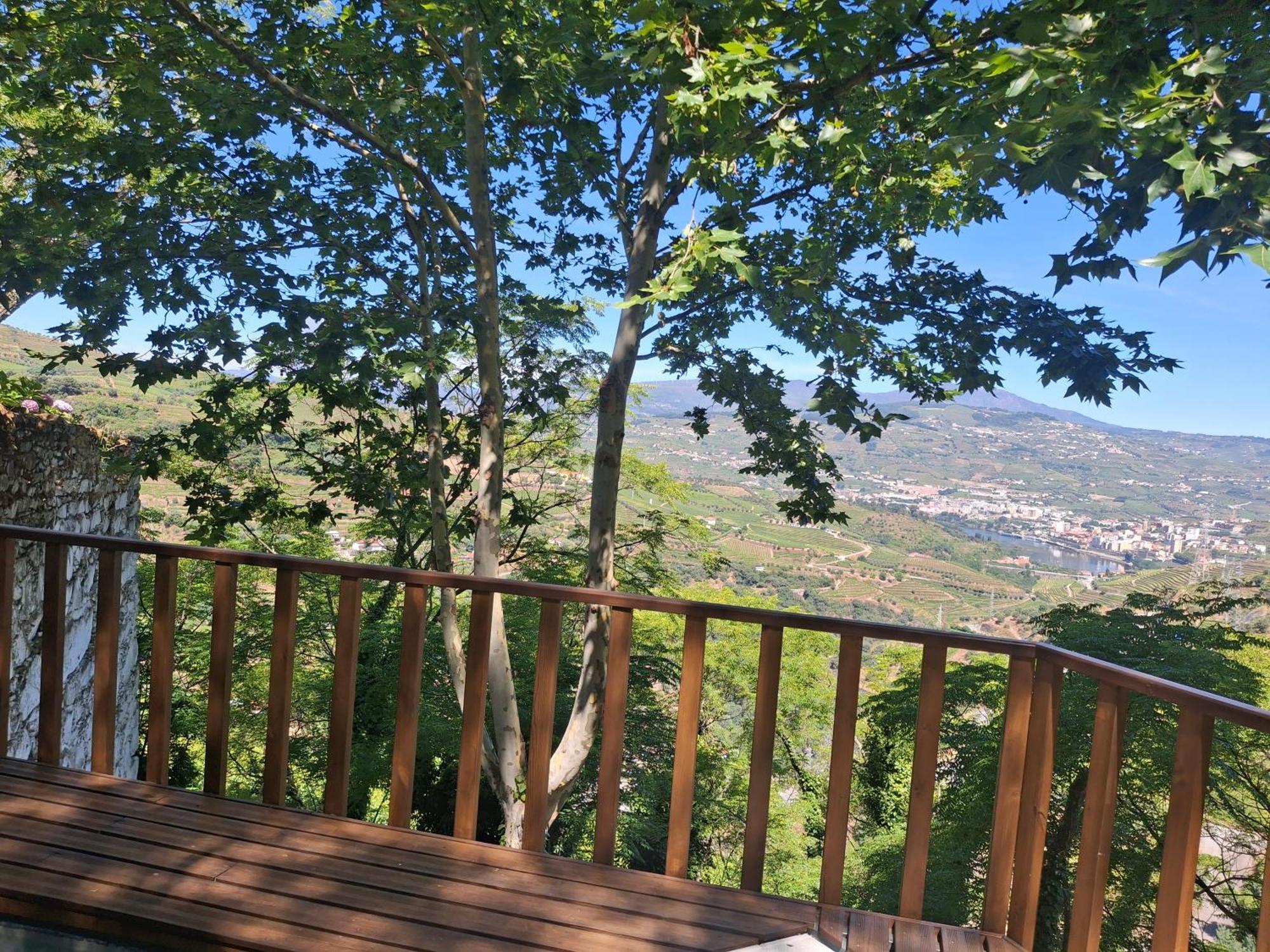 Quinta Do Valdalagea Guest House Peso da Regua Bagian luar foto