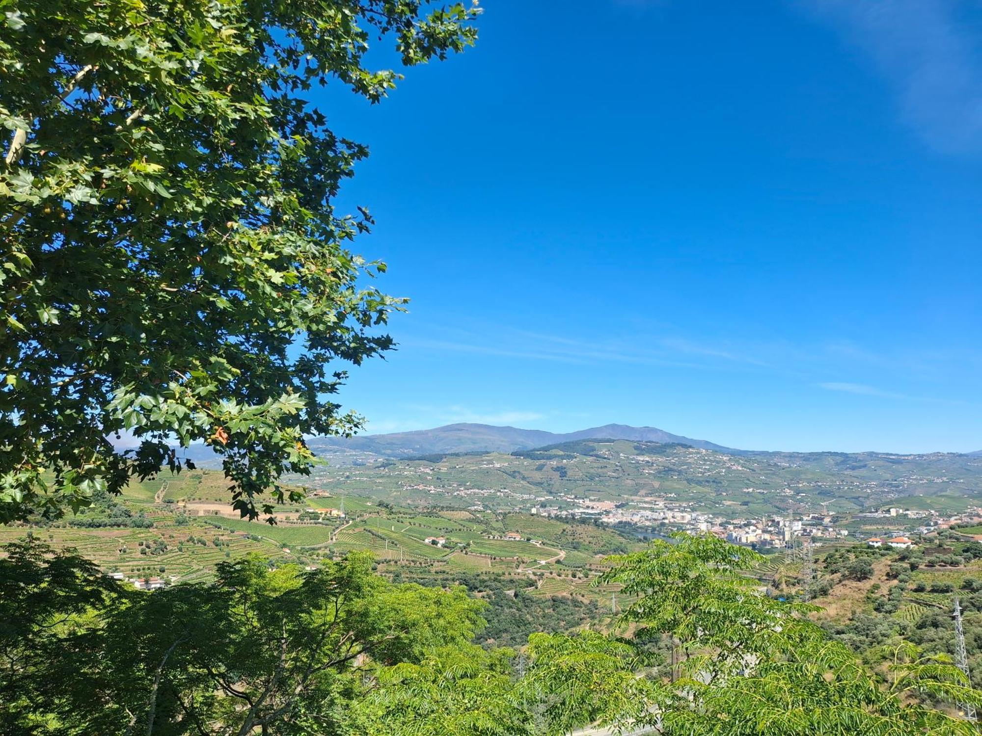 Quinta Do Valdalagea Guest House Peso da Regua Bagian luar foto