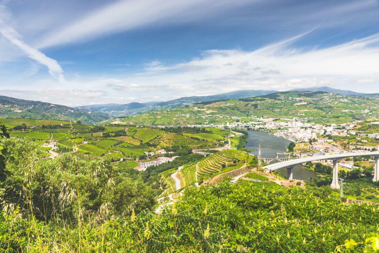 Quinta Do Valdalagea Guest House Peso da Regua Bagian luar foto