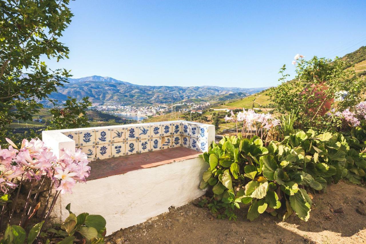 Quinta Do Valdalagea Guest House Peso da Regua Bagian luar foto