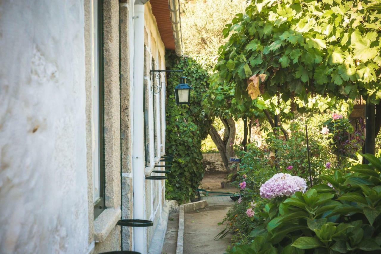 Quinta Do Valdalagea Guest House Peso da Regua Bagian luar foto